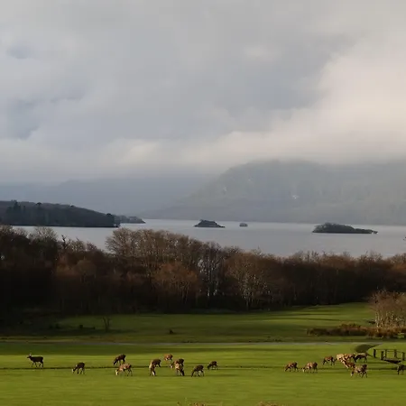 Castlerosse Park Hébergement de vacances
