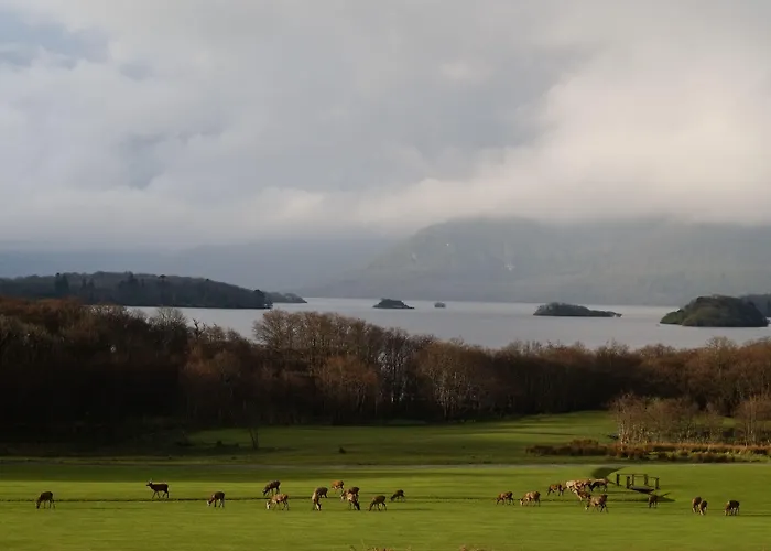 Castlerosse Park Prázdninový dům